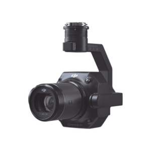 ZMP1