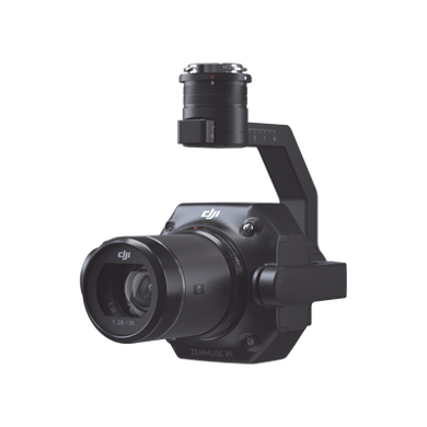 ZMP1